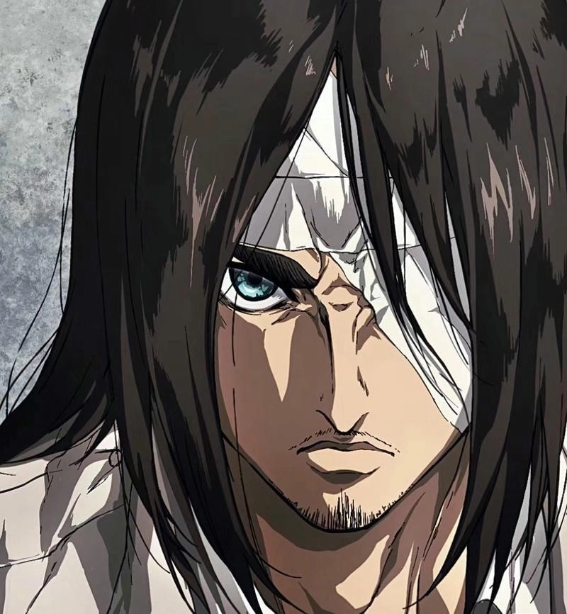 avatar Eren 8